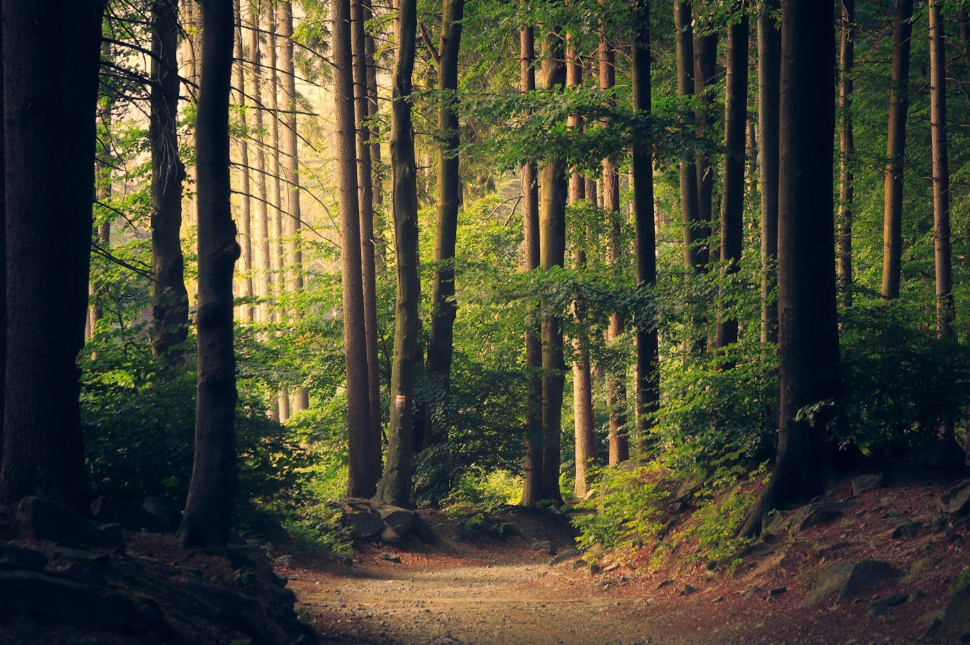 Fotografia ilustrativa do ambiente e da proposta de atendimento